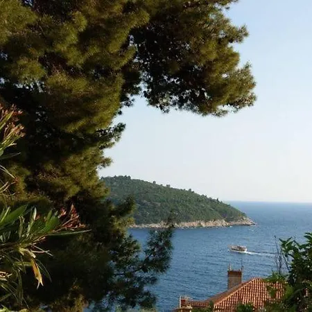 Apartment Hitri - One Bedroom With Terrace And Garden View *